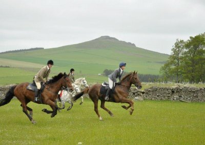 DSC_7538.jpg