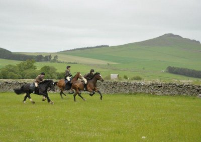 DSC_7544.jpg