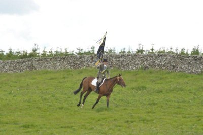 DSC_9166.jpg