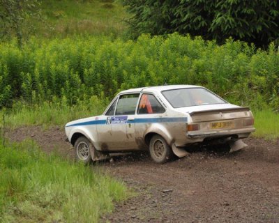 DSC_1312.jpg