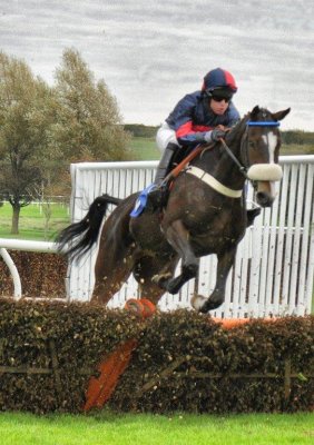 A Day At The Races - Kelso - October 15th 2011