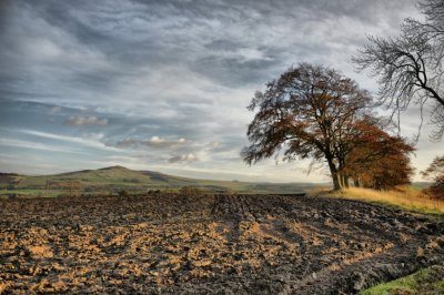 Ploughed and Ready.jpg