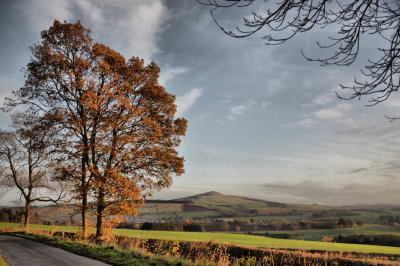 Autumn Ruberslaw.jpg