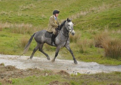 DSC_7139.jpg