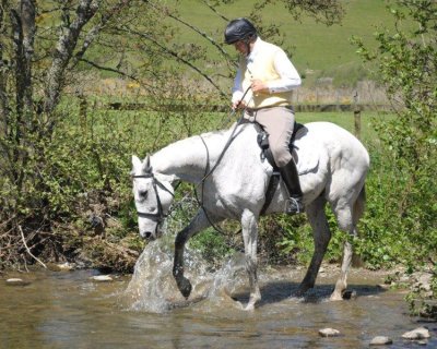 Hawick Common Riding 2012 - Mosspaul Rideout - Saturday.