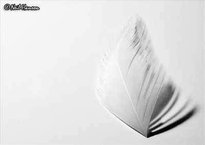 g4/40/565940/3/47199202.rNK05rCB.jpg
