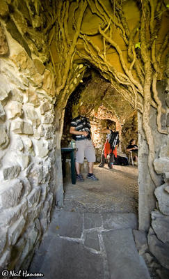 Shell Grotto