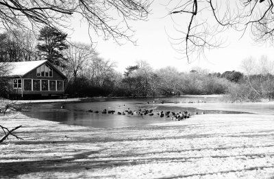 North Fork LI 