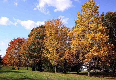 Hancock Md 10 15 2011