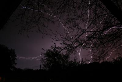 IMG_7680se.jpg