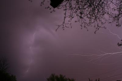 IMG_7716sp.jpg