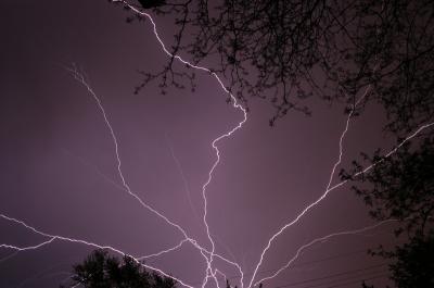 IMG_7873sp.jpg