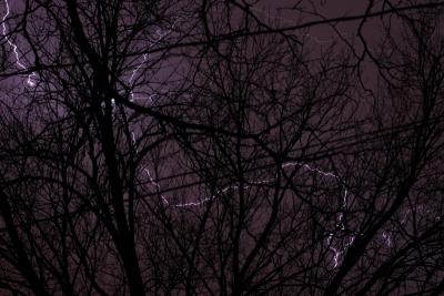 IMG_6125p.jpg