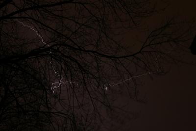 IMG_6103p.jpg