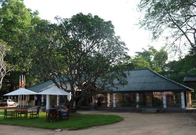 Dambulla Rest House