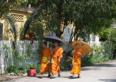 These monks walked past while I had breakfast before leaving town