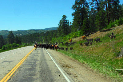 Southwest Colorado Cowboys