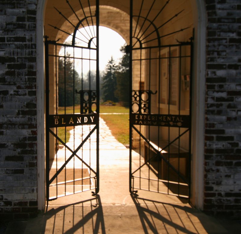 The gates to Blandy.
