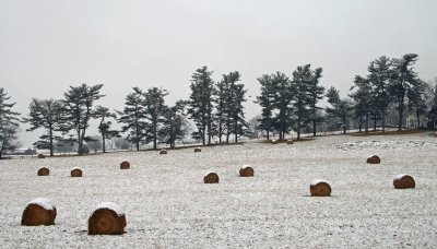 Snowy Bales