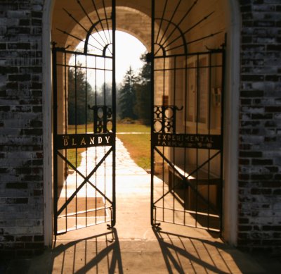 The gates to Blandy.