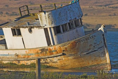 The Pt. Reyes