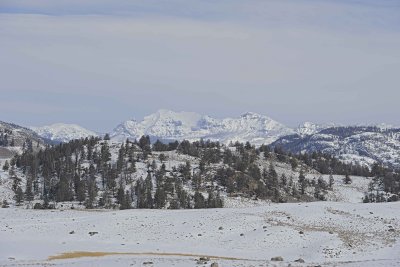 Mountains-021612-Boulders, Lamar Valley, Yellowstone NP-#0204.jpg