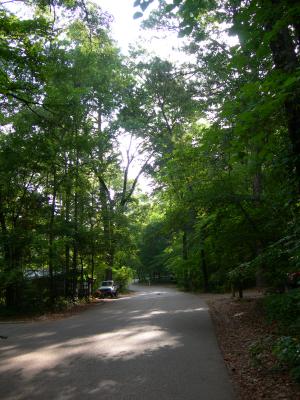 DSCN0446.JPG