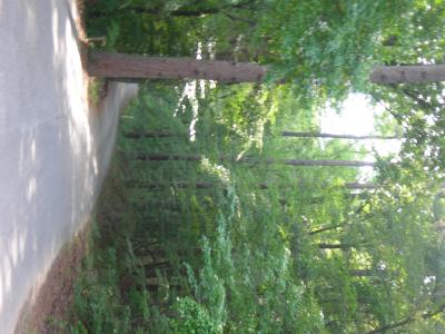 DSCN0448.JPG