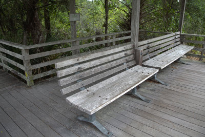 Banc, Corkscrew Audubon Sanctuary