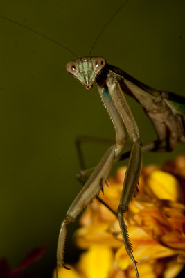 CRW_3101.jpg