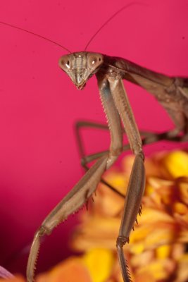 CRW_3103.jpg