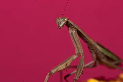 CRW_3104.jpg