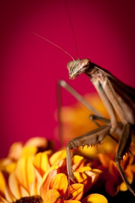 CRW_3111.jpg