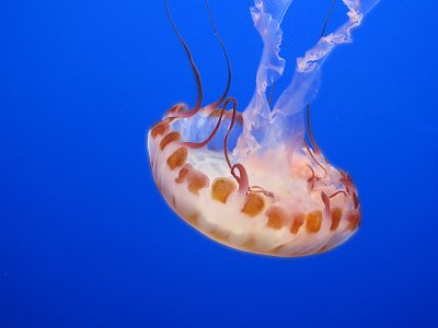  IMG_1431fx.jpg