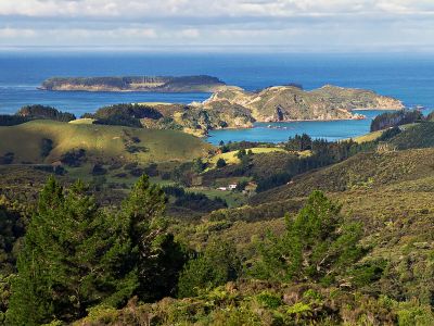 Matauri Bay