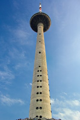 DSC08950.jpg