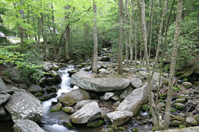 PLACES AND SPACES 20030.JPG