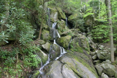 PLACES AND SPACES 20033.JPG