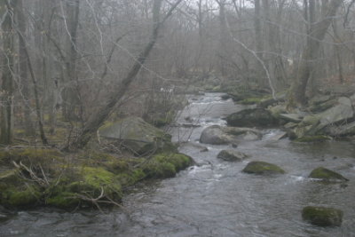 PLACES AND SPACES 20036.JPG