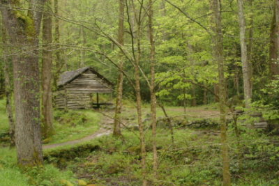 PLACES AND SPACES 20060.JPG