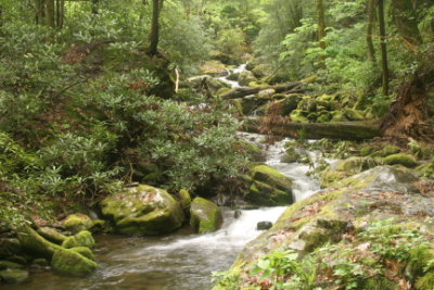 PLACES AND SPACES 20061.JPG