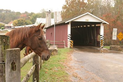 Pa. Covered Bridge 20119.JPG