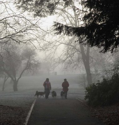 Walking the dogs_DSC_5417.jpg
