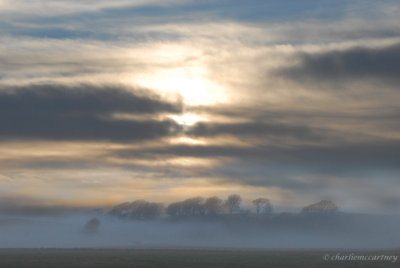 A welcome Glimpse_ DSC_5431.jpg