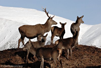 The Hungry Times_DSC_5807.jpg