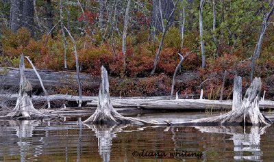 Adirondaks From Kayak 5 Quimby Pond