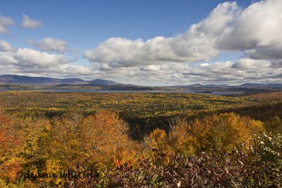 Maine Overlook