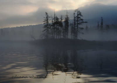 Raquette River Adirondacks