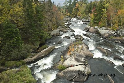 Maine