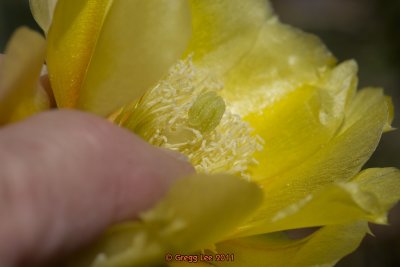 a700-53162.jpg